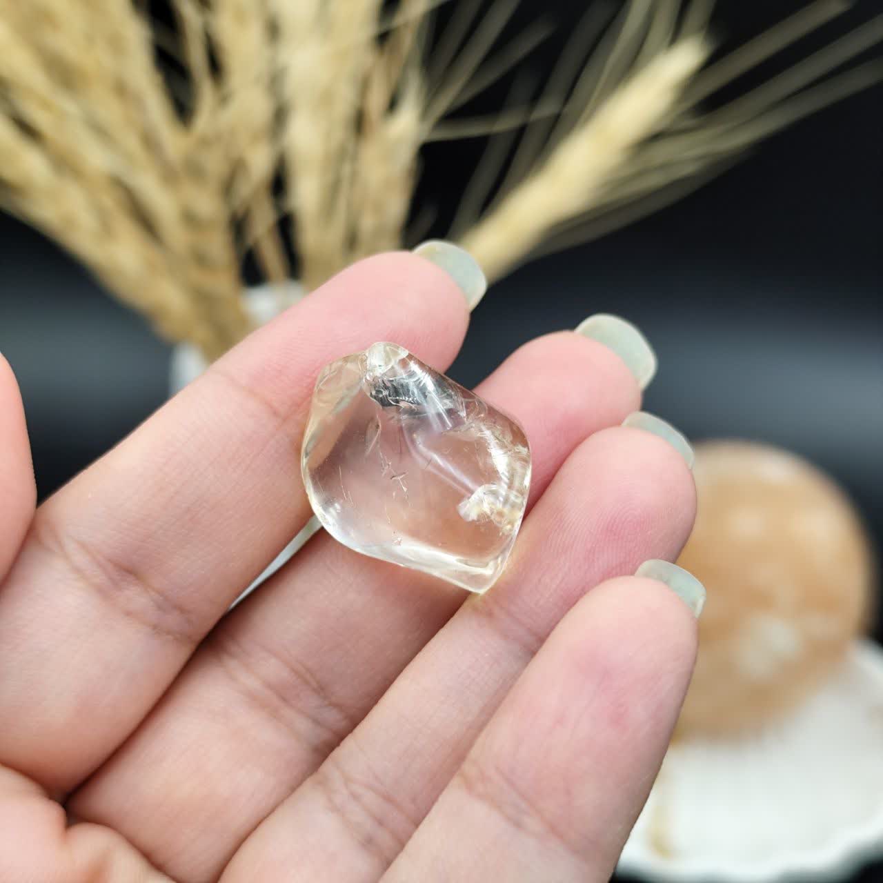راف سیترین اصل طبیعی کد 9520